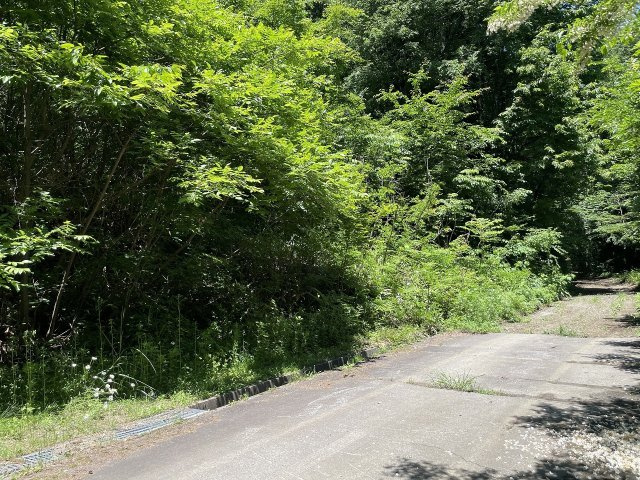 穂高牧　売土地