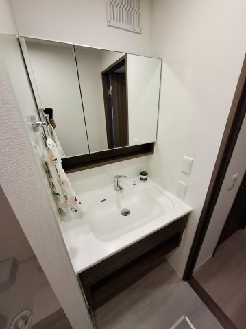 ドレⅡの洗面所