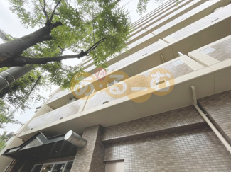 【外観】 | サウスフラット