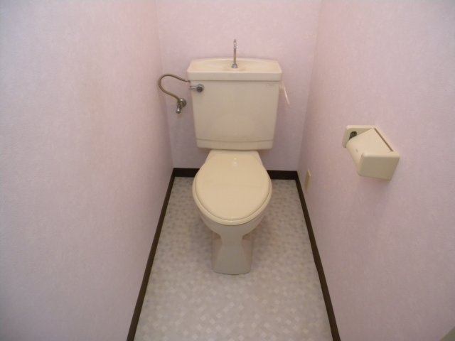シャトラン高月のトイレ