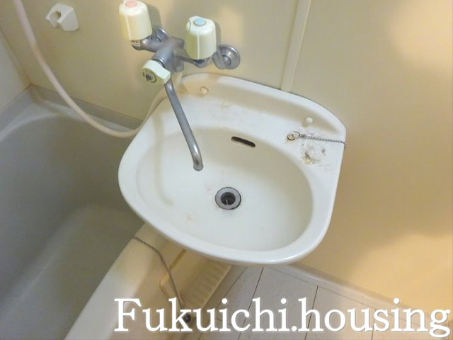 フェニックス明大前の洗面所