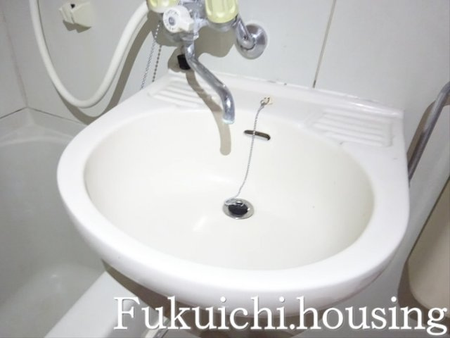 ウェステリアⅡの洗面所