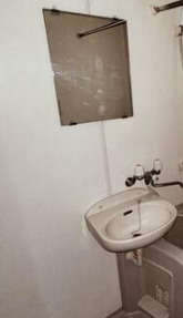 グランデッサ代沢の洗面所