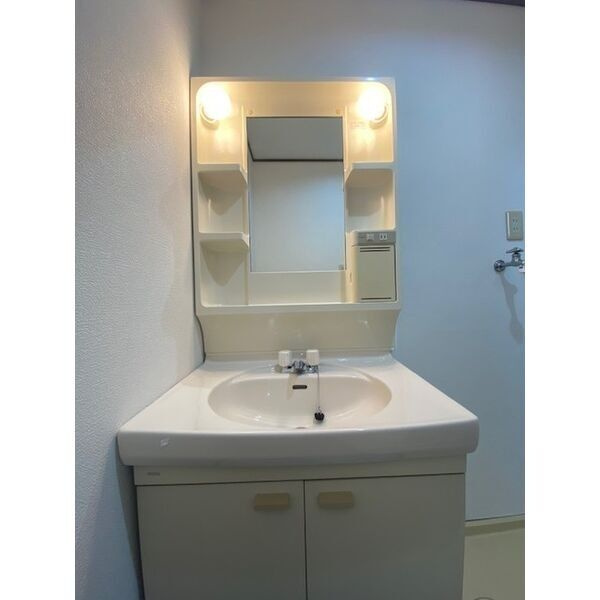 ハイムKUSAKIの洗面所