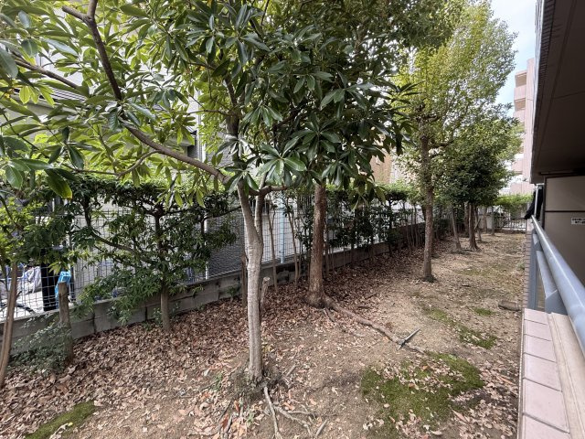 豊中市立花町３丁目の賃貸マンションの展望