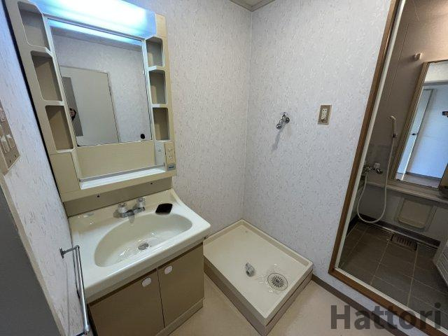 シャンボールメゾン曽根の洗面所