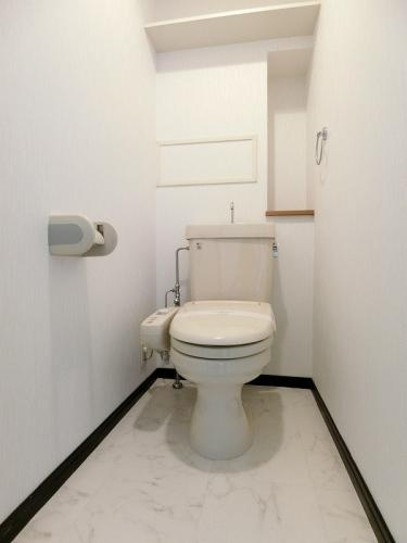 ディナスティⅧのトイレ