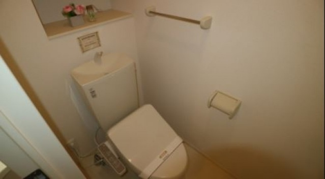 ラピス・ラズリのトイレ