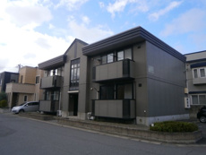 セジュール緑の画像