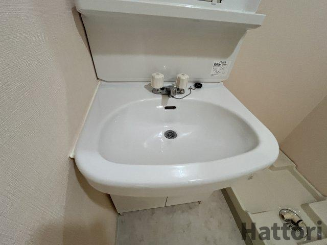 シャンボールメゾン曽根の洗面所