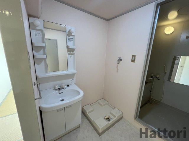 シャンボールメゾン曽根の洗面所