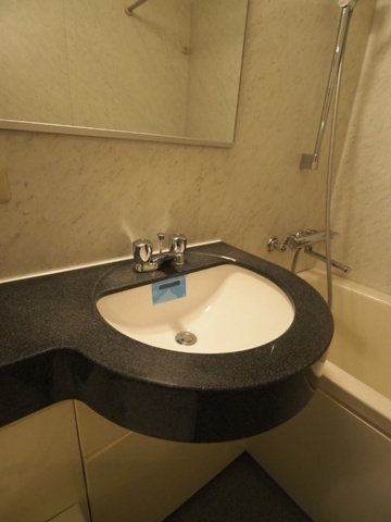 新品家具付きマンション岩本町1(KaGood東京)の洗面所