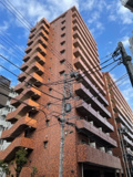 フラットフォーレストの画像