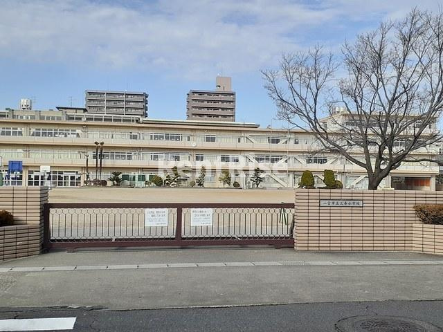 ラッフィナートＣのその他|その他