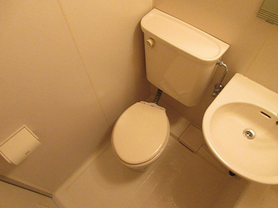 グリーンルーフ神若のトイレ