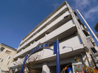 Maison　OHSの画像