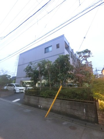 エムズフラットの周辺