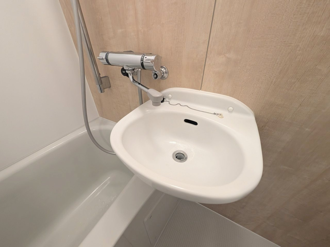 パティオ南平の洗面所