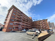 　ピュアネスDoiの画像