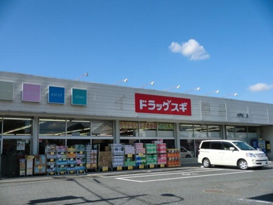 ドラッグスギ中妻店まで550m