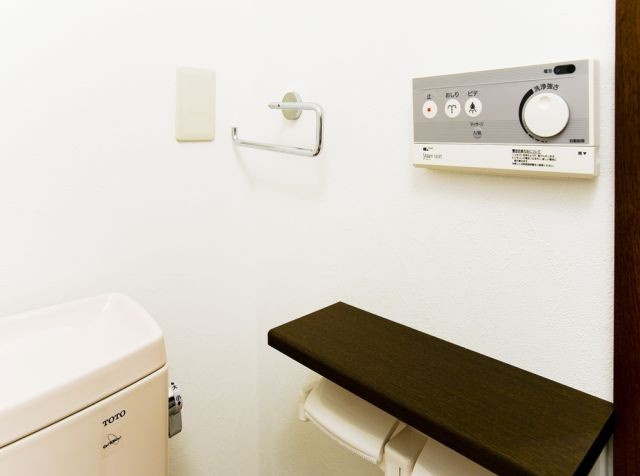 ブルーストーンのトイレ