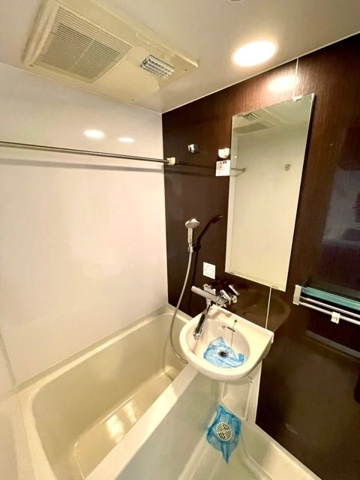 新品家具付きマンション大島6(KaGood東京)の浴室