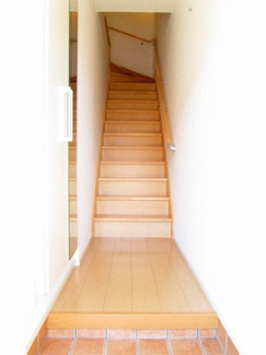 【玄関】 | 秋桜　２０１１　Ａ