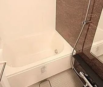 ザ・パークハビオ堂島の浴室