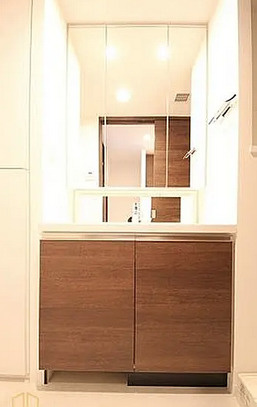 ザ・パークハビオ堂島の洗面所