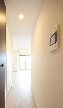 ザ・パークハビオ堂島の内装