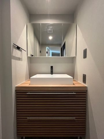 レジディアタワー乃木坂の洗面所