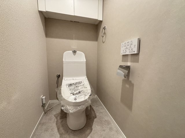 ライオンズヴィアーレ鹿山A棟のトイレ