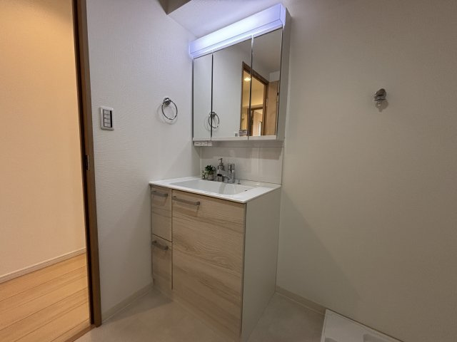 シャワー機能付きの洗面台です