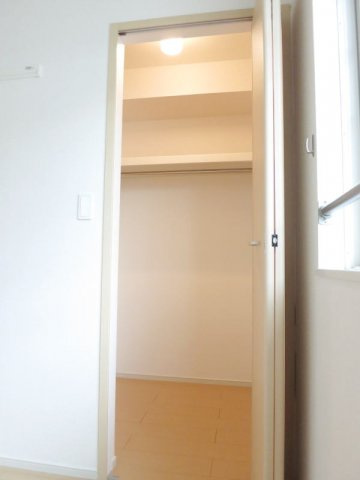 ヴァーサ白鳥Ⅰのその他