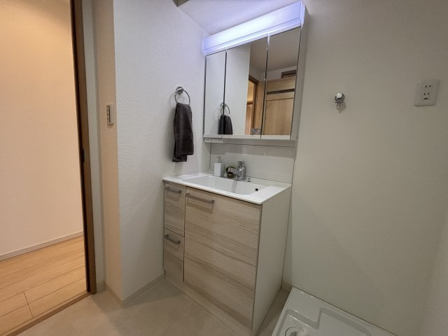 シャワー機能付きの洗面台です