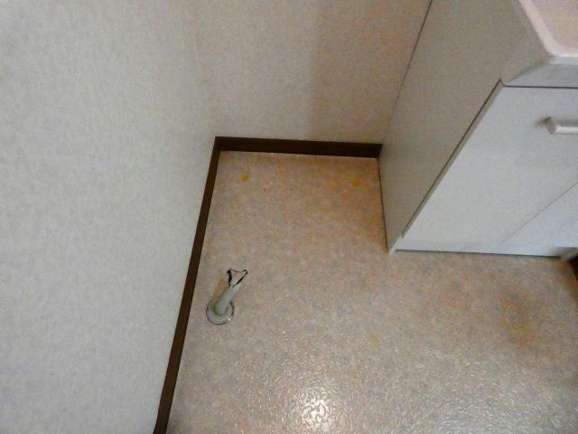コーポマリノスの洗面所