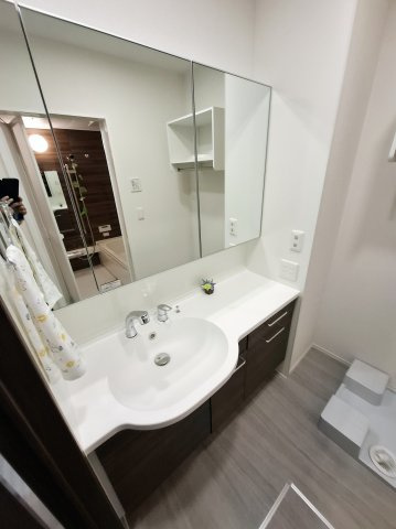 ドレⅡの洗面所