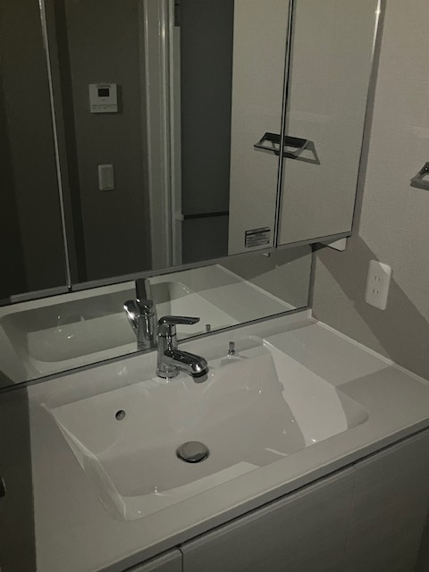 プラウド駒込ディアージュの洗面所