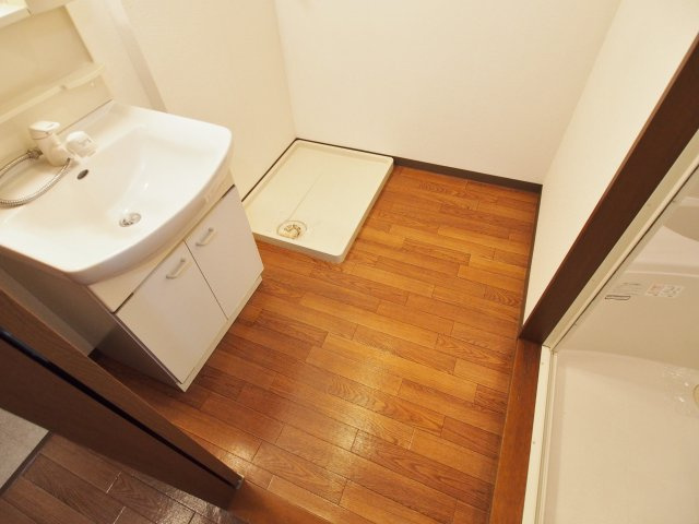 ハピネス岩田の洗面所