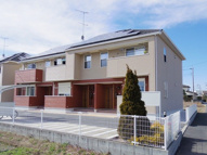 パレドールＢの画像