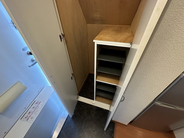 レオパレスパレスマンションⅤの玄関