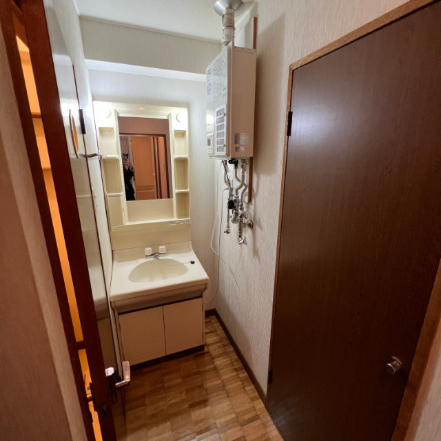 プラザユーホームの洗面所