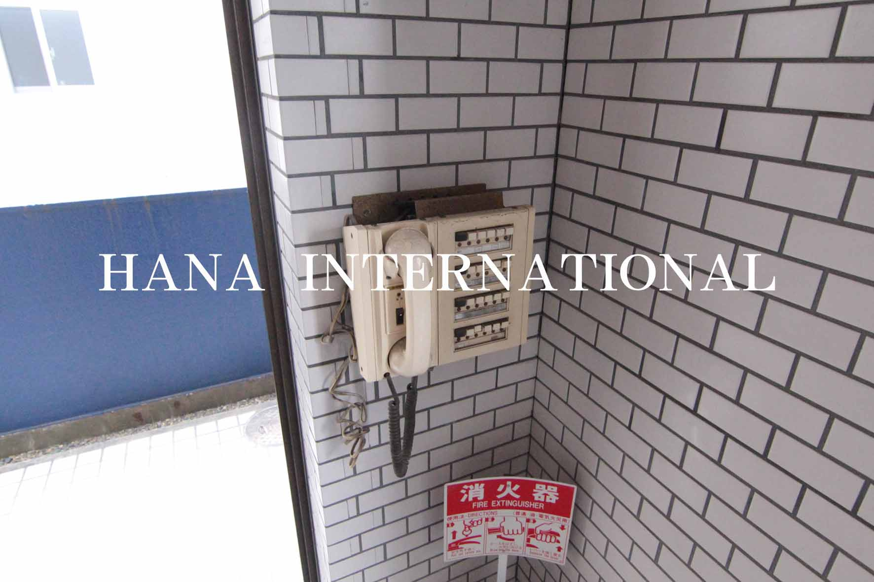 ジュネッタ8のその他