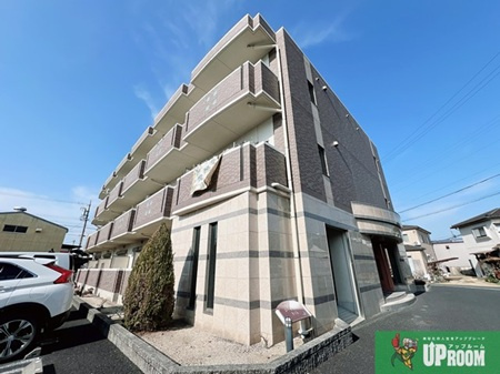 コーディアル　さくら