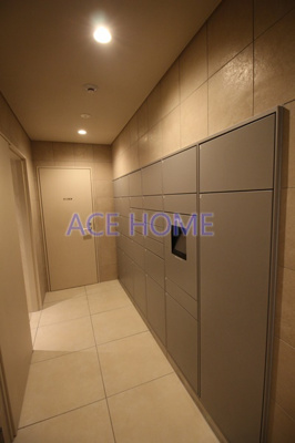 【その他】 | Dimus北浜