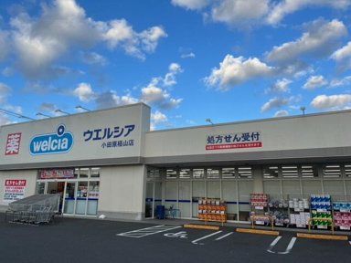 ウエルシア小田原栢山店まで286m