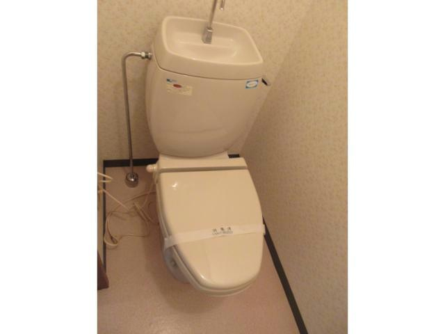 サウスフィールズのトイレ