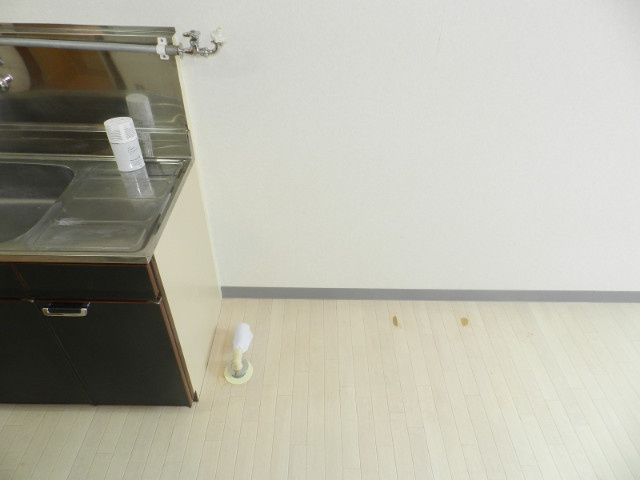 パークビレッジのその他