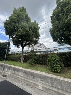 【周辺】 | ブリランテ森南町