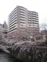 グローリオ板橋本町の画像